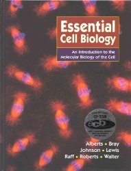 Essential Cell Biology: An introducton to the Molecular Biology of the Cell by Bruce Alberts, Dennis Bray, Alexander Johnson, Julian Lewis, Martin Raff, Keith Robert, Peter Walter, Keith Roberts